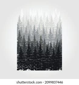 Forest Background Nature Landscape Evergreen Coniferous Stock Vector