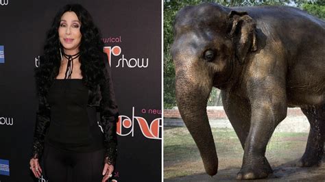 Elephant Man Cher