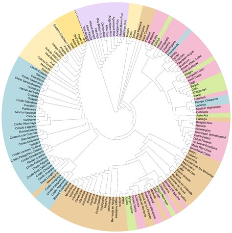 Ijms Free Full Text Genetic Structure Analysis Of 155 Transboundary