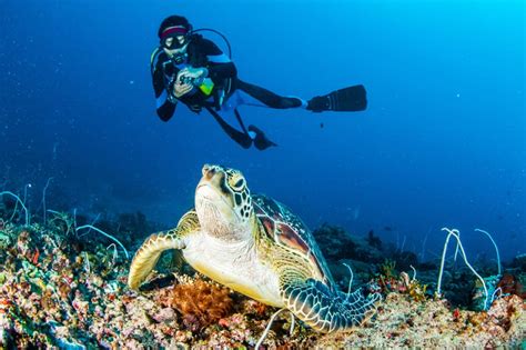 Water Diving Adventure In Malaysia - Filmbyen