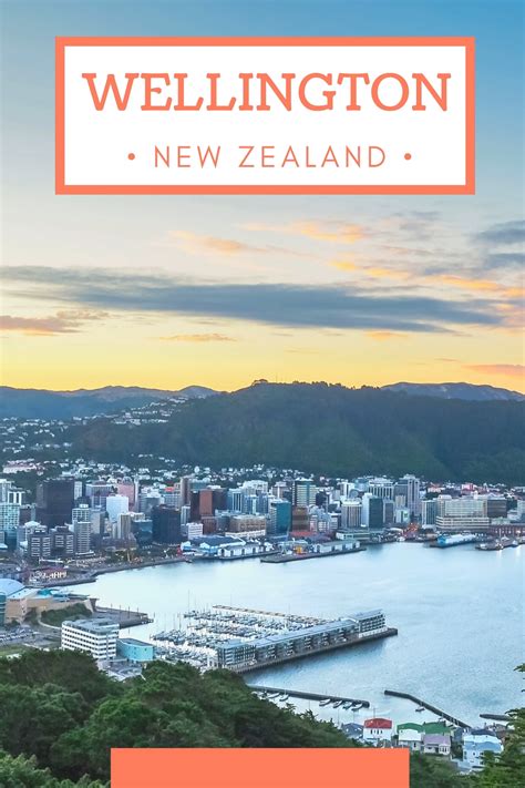 15 Best Things To Do In Wellington New Zealand Artofit