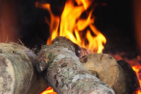 Regulations You Need to Know About: Burning Logs - Green Olive