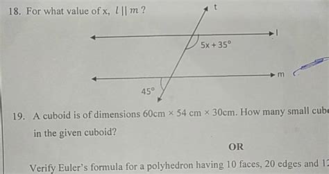 18 For What Value Of X Lm 19 A Cuboid Is Of Dimensions 60 Cm54 Cm3