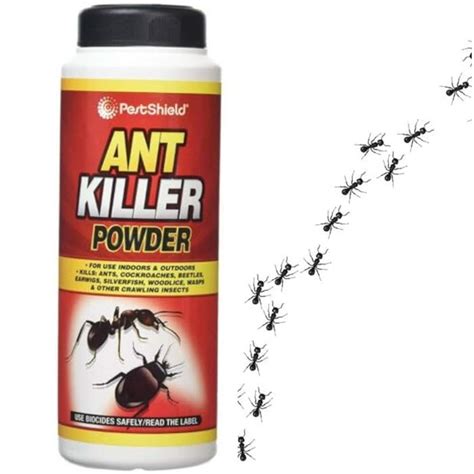 Buy Citystores 200g Ant And Insect Killer Powder Indoor And Outdoor Use