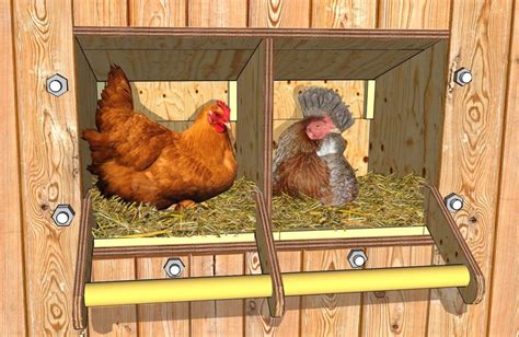 Construire Des Pondoirs Nichoirs Pour Poules Plans Poulailler Bio