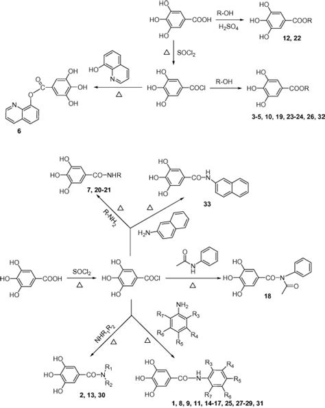 Scheme For The Synthesis Of Gallic Acid Derivatives Download