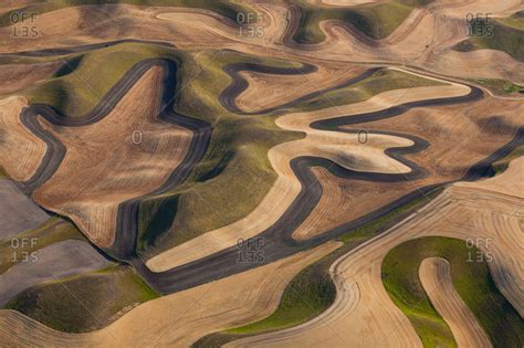 Farmland Landscape With Ploughed Fields And Furrows In Palouse