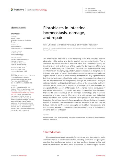 Pdf Fibroblasts In Intestinal Homeostasis Damage And Repair