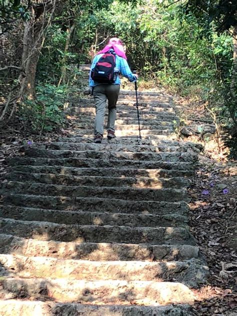 南島觀點 2020登柴山走步道