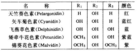 花青素 中学教学百科 百科知识