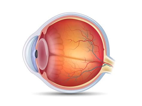 Dr Vaidya S Eye Hospital Best Eye Care Solutions In Mumbai