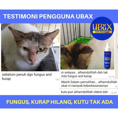 Pawpaw Ubax Kucing Cat Hero Spray Original Ubat Kurap Kucing Spray