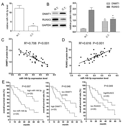 Expression And Association Of MiR 148 3p DNMT1 And Recombinant Human