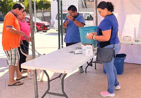 Realiza Cemac Campa A De Esterilizaci N En Olas Altas