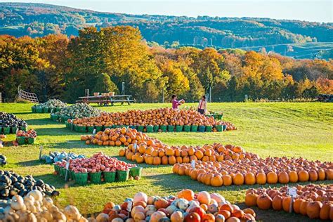 Fall Color Tours | Michigan