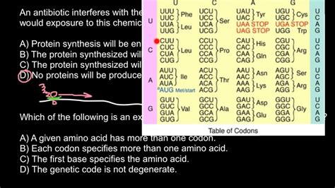 Interaction Of Antibiotics And Ribosomes Youtube