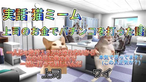 実話【猫ミーム】上司のお金でパチンコを打った話 猫ミーム 猫マニ Youtube