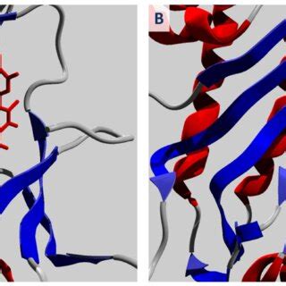 Binding Mode Of A Quercetin Zinc Red And B Geraldol