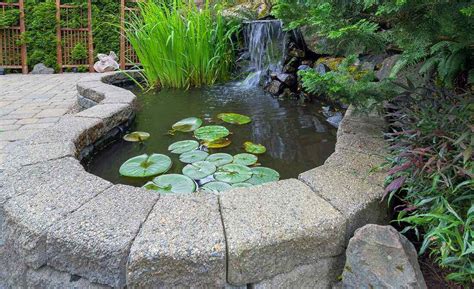 Pond Water Features Guide - How To Choose The Right Options