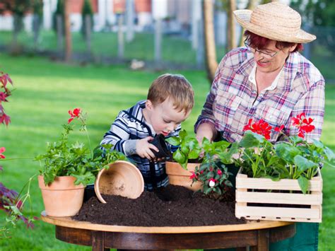 Garden Tools Archives - Lettuce Grow Something