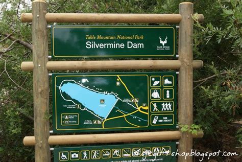 litsje: Silvermine Nature Reserve