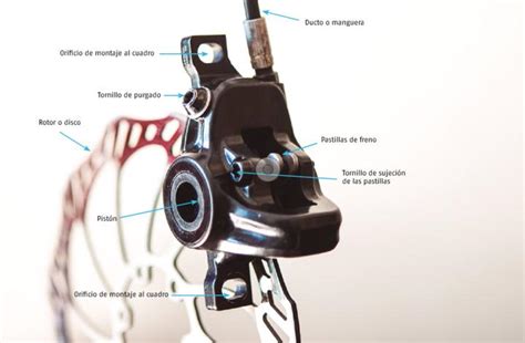 Frenos A Disco Para Bicicletas Todo Lo Que Hay Que Saber Sobre Su