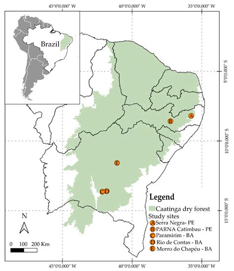 Caatinga Study Maps – NBKomputer