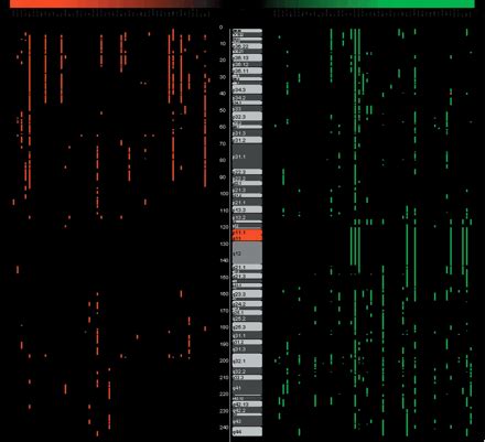 1 Mb Resolution Array Based Comparative Genomic Hybridization Using A