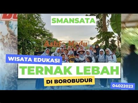 Wisata Edukasi Ternak Lebah Ashfa Madu Borobudur Youtube