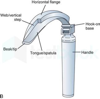 Solved Identify The Instrument Shown In The Following Image