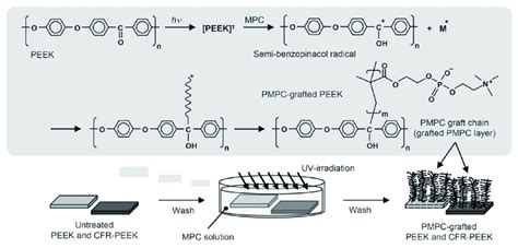 The Scheme Of Polyether Ether Ketone Peek Surface Modifications Via