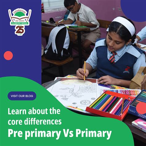 understanding  differences  pre primary  primary school