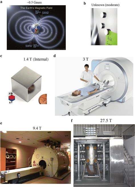 2 Static Magnetic Fields Of Different Intensities A Earth Magnetic