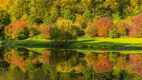 Autumn Trees Reflection Free Stock Photo Public Domain Pictures