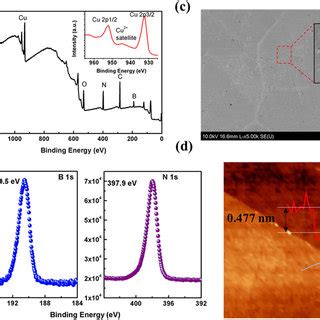 A Survey Xps Spectrum Of H Bn Inset Enlarged Spectra Region Of Cu