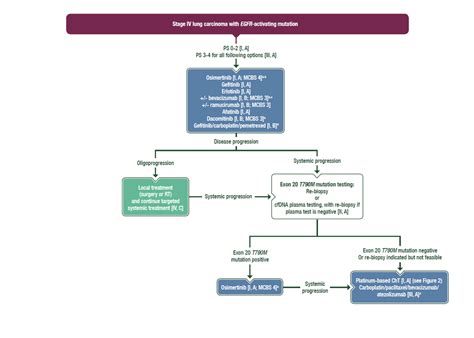 Clinical Practice Living Guidelines Metastatic Non Small Cell Lung