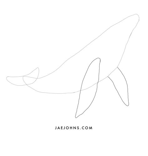 how to draw whale