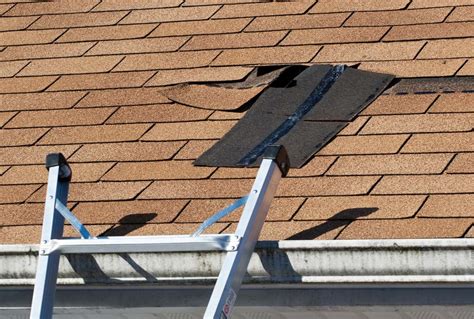 5 Signs To Tell If Your Roof Is Leaking Stay Dry Roofing