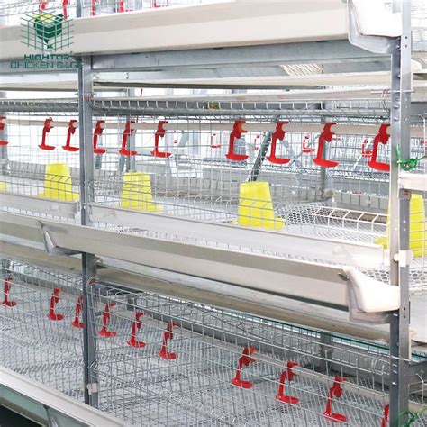 Factory Price Hot Dip Galvanized Mesh Automatic Poultry Battery Broiler