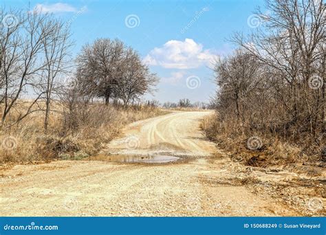 Rural Gravel Dirt Road In Winter With Mud Puddle Stretching Across Low