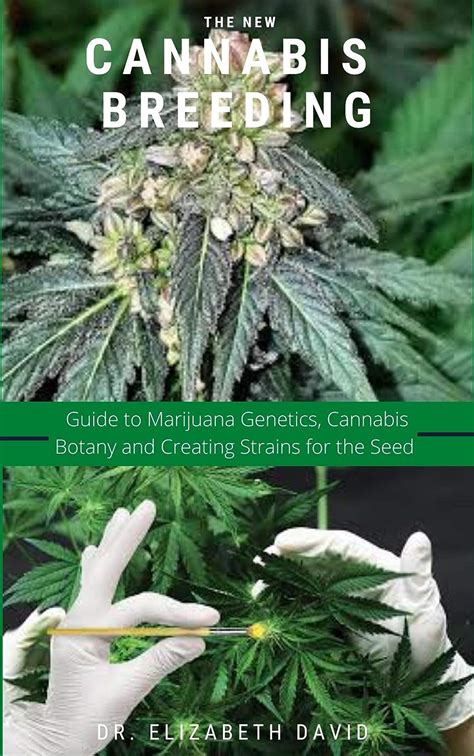 The New Cannabis Breeding Complete Guide To Breeding And Growing Cannabis The