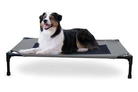 The 11 Best Cooling Dog Beds, Tested by Our Dogs