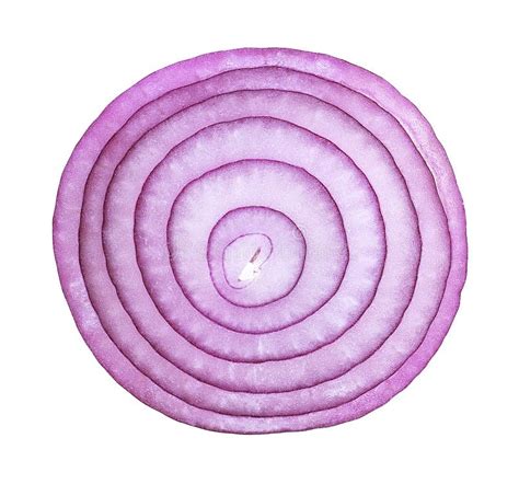 Sliced Red Onion Rings Isolated On White Background Stock Image Image