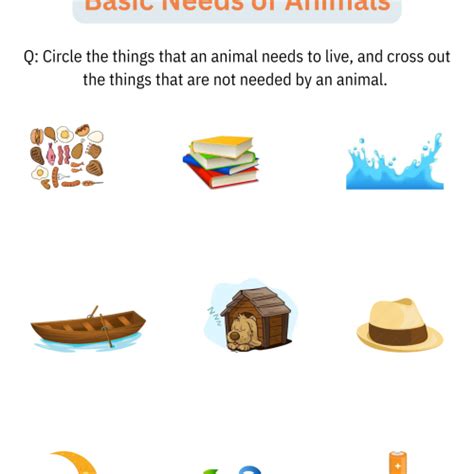 Basic Needs of Animals Activities - Taking Care of Animals ...