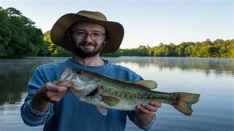 Catching Lunkers At Trap Pond Delaware Bass Fishing Youtube