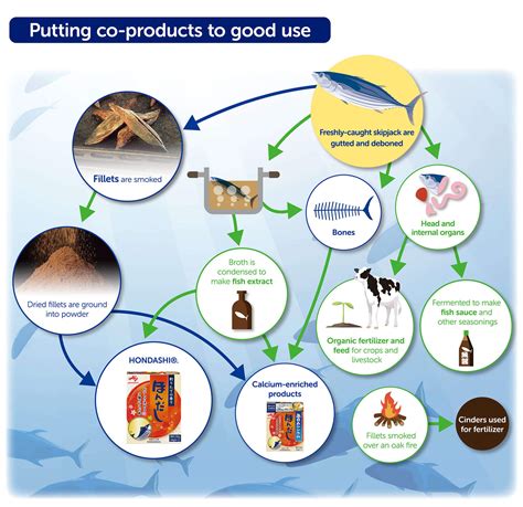 Sustainable skipjack: managing fisheries and reducing food loss