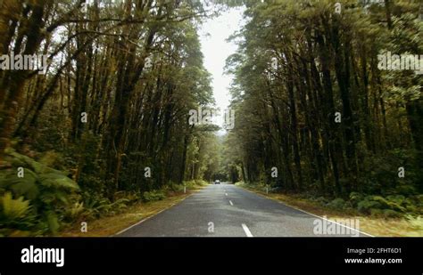 Road Trip Fiordland Stock Videos Footage HD And 4K Video Clips Alamy