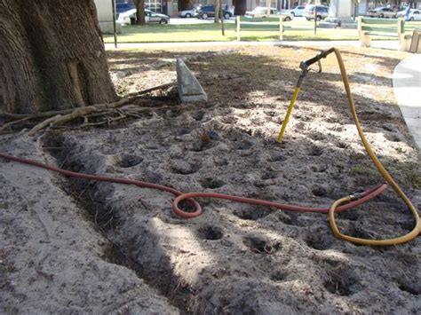 Vertical Mulching Tree Roots Tree Maintenance Analysis And