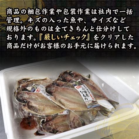 干物 訳ありセット 約3kg 種類品数職人におまかせ 干物セット オリジナル 詰め合わせ わけあり ワケあり 自宅用 小田原 お得 送料無料