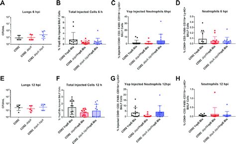 Bipa Does Not Impact Y Pestis T3ss In Vivo At 6 And 12 Hpi A To H